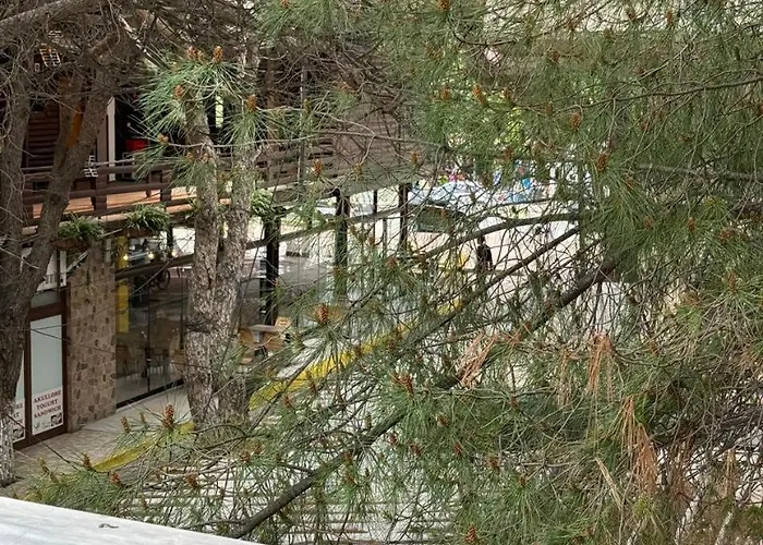 Sea & Back View Apartment